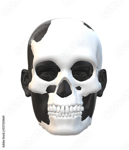 skull, skeleton halloween © Анастасия Леонова