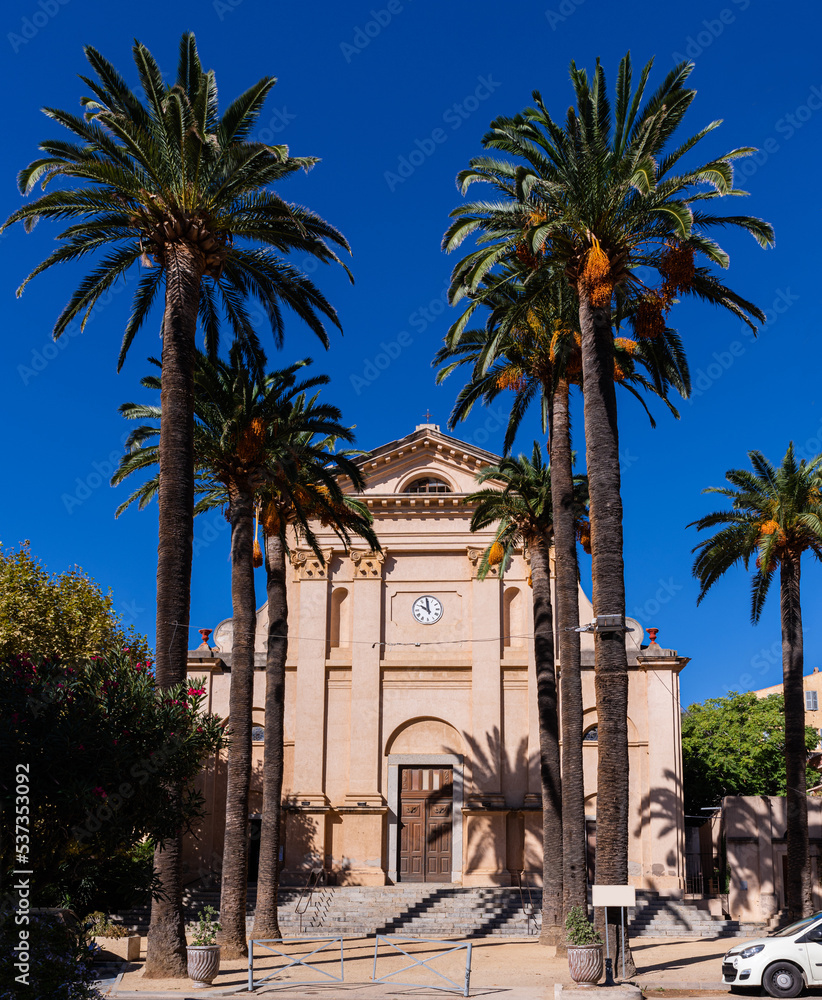 Palm trees in front of the mercy church (Eglise de la Misericorde) in the center of L'Ile-Rousse, Corsica, France