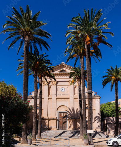 Palm trees in front of the mercy church  Eglise de la Misericorde  in the center of L Ile-Rousse  Corsica  France