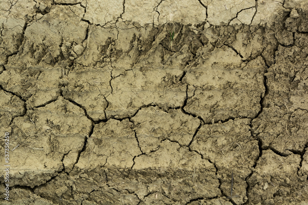 Fototapeta premium siccità 
