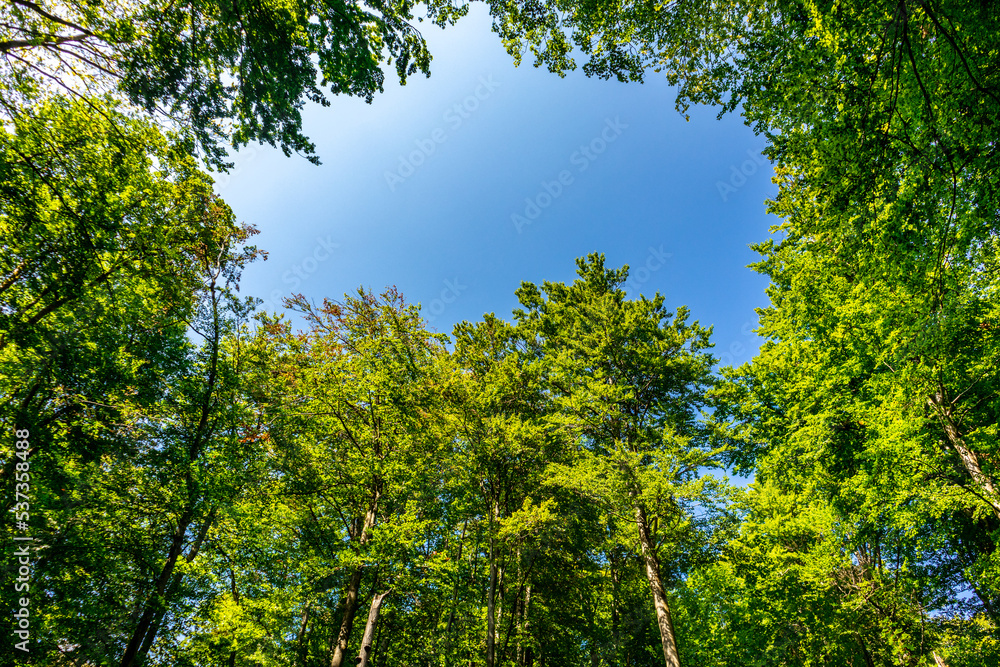 Herbstlicher Spaziergang auf den Höhenweg des Thüringer Waldes - Thüringen - Deutschland Herbstlicher Spaziergang auf den Höhenweg des Thüringer Waldes - Thüringen - Deutschland