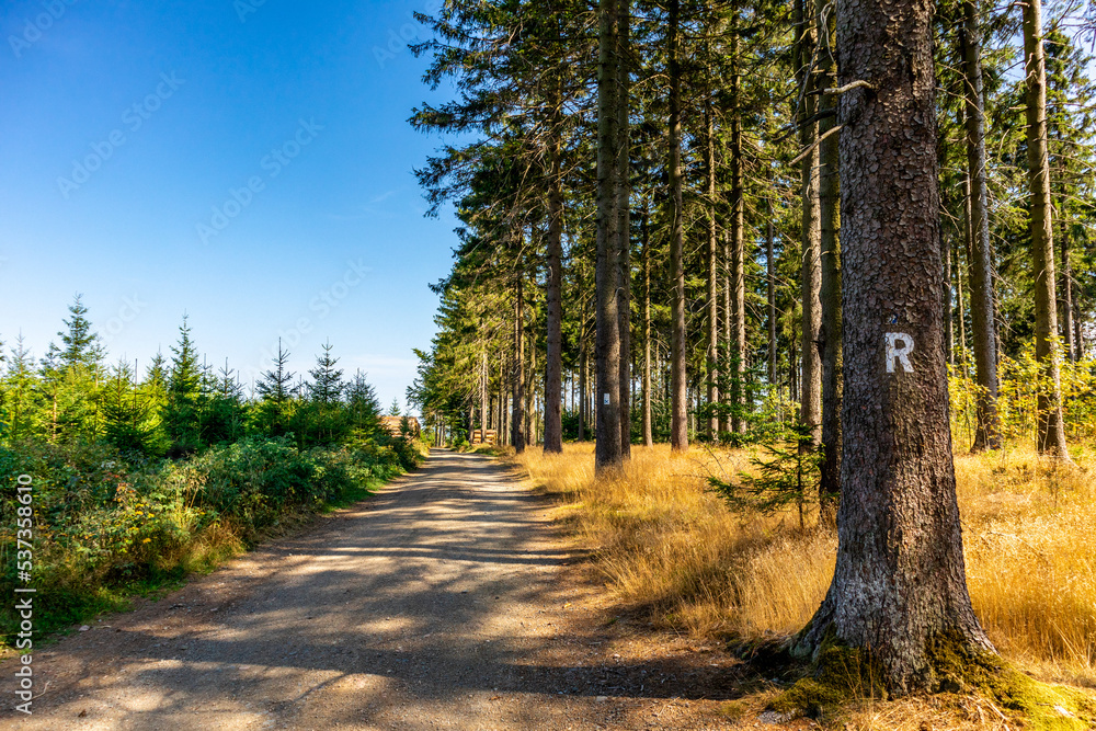 Fototapeta premium Herbstlicher Spaziergang auf den Höhenweg des Thüringer Waldes - Thüringen - Deutschland