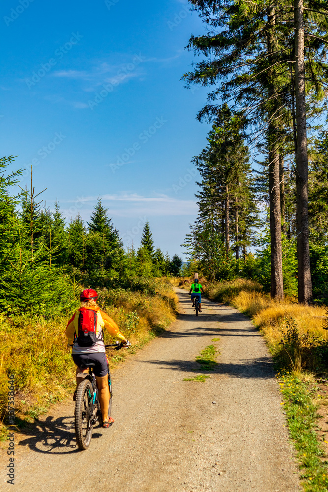 Herbstlicher Spaziergang auf den Höhenweg des Thüringer Waldes - Thüringen - Deutschland