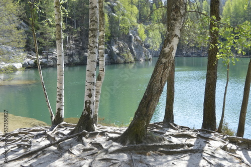 tree on the lake © Andrea