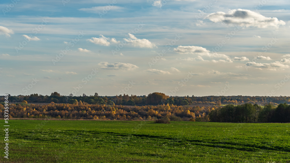 Landscape with autumn colours of trees and grass.