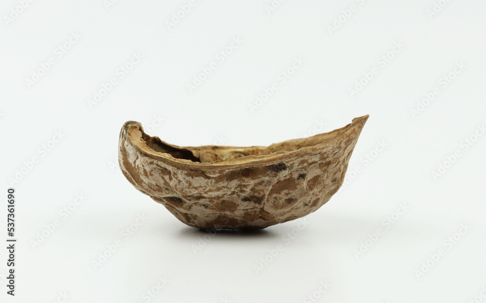Obraz premium Curved walnut shell in ship shape on white background