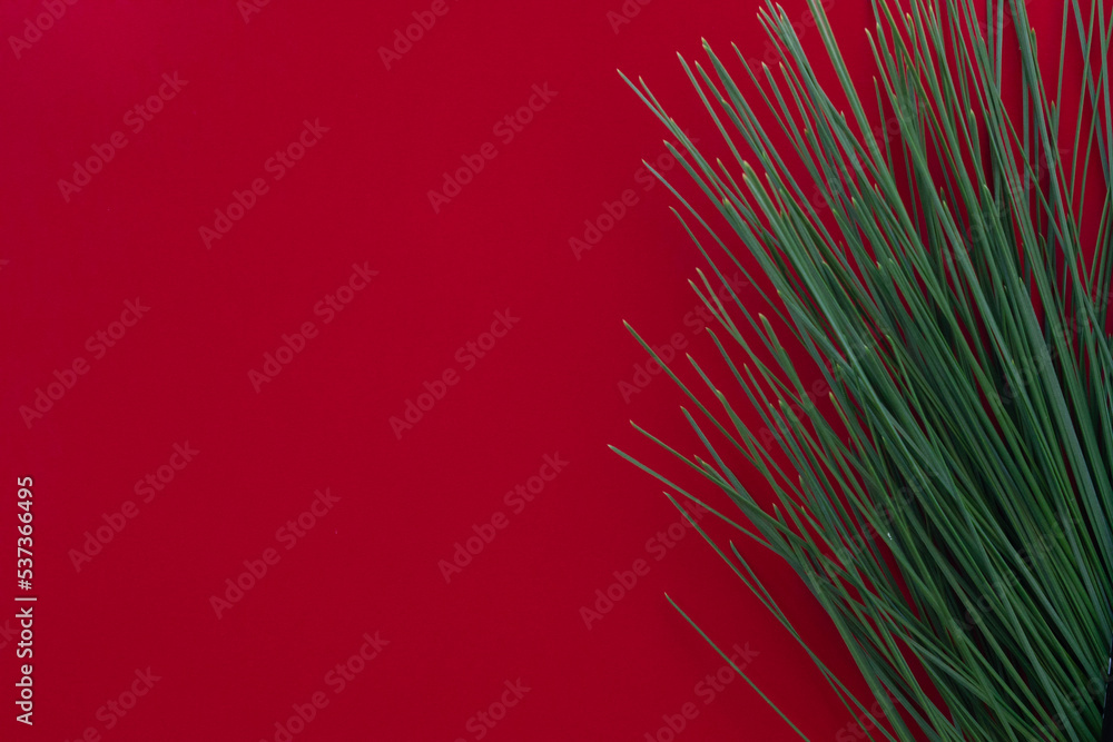 Obraz premium red background with pine needles