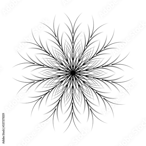 abstract flower or rosette illustration