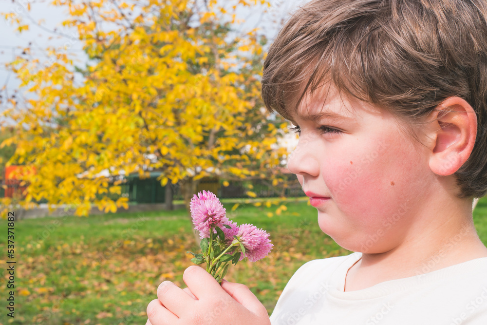 Child, boy smelling clover flowers in garden during autumn season. Kid has funny time outdoor. Children curiosity. Copy space for text. Child, boy smelling clover flowers in garden during autumn season. Kid has funny time outdoor. Children curiosity. Copy space for text.