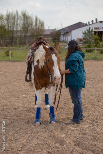Cowgirl tightens girth on a horse. Rider and piebald horse in western ammunition. Preparing for a reining training in the arena. © OleksandrZastrozhnov