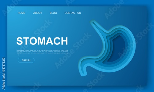 Stomach 3d paper cut website template. Digestive system paper cut out illustration. Organ anatomy symbol for landing page, advertising page.