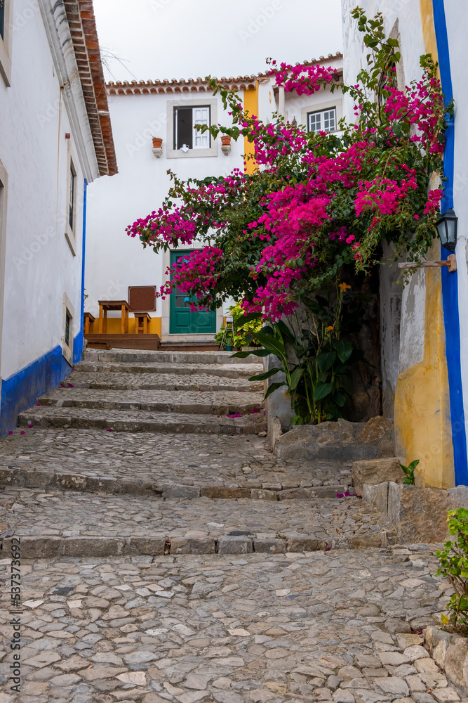 Naklejka premium The historic Portuguese village of Obidos and narrow streets of cobblestone and beautiful flowers. Obidos, Portugal