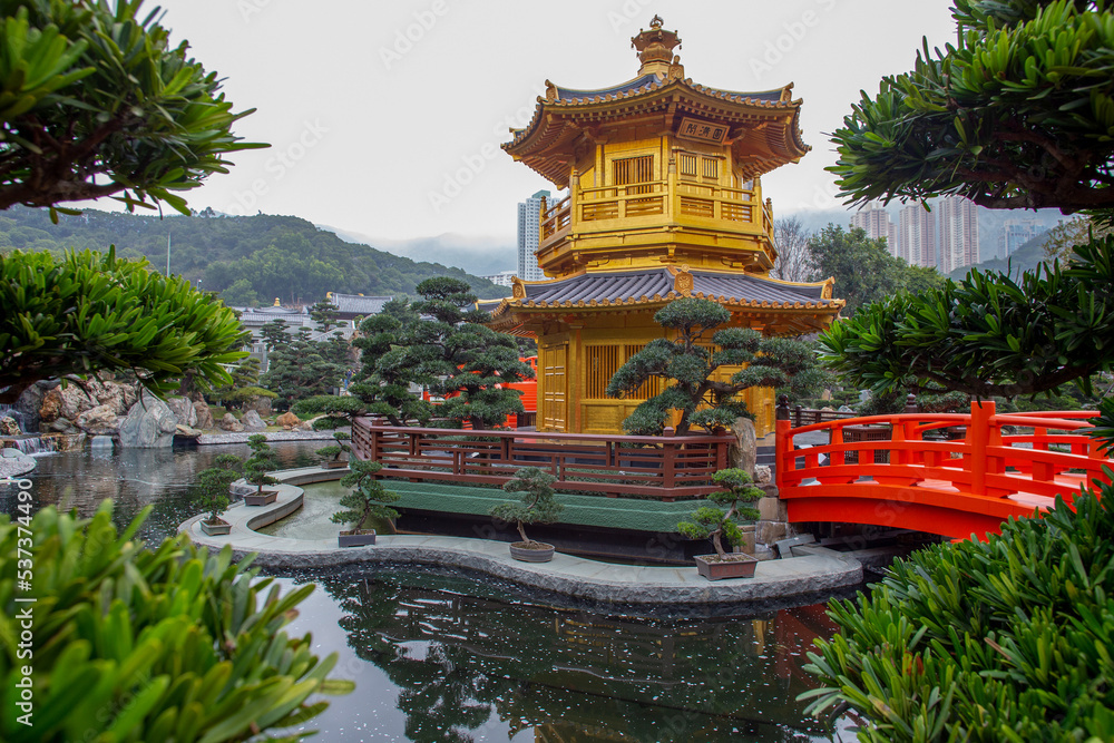 Fantastic podocarp large-leaved bonsai trees  and central golden pagoda surrounded water pond - pagoda building -   in Nan Lian garden and water lilies in Hong Kong