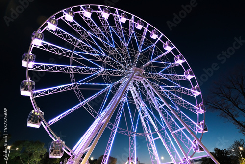 Big ferris wheel at night, glowing with lights at night © Natallia