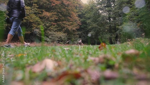 Joven mujer, pasea con su perro por el parque en otoño 
