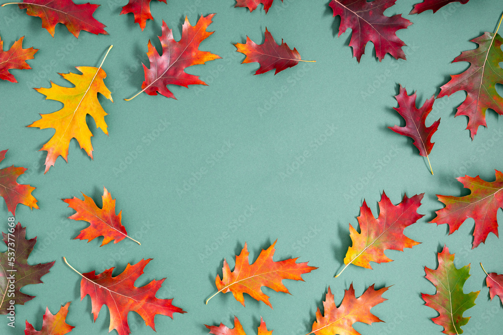 Autumn background of tree leaves. Colorful autumn leaves on green background. Fall foliage, texture. Flat lay, top view, copy space Autumn background of tree leaves. Colorful autumn leaves on green background. Fall foliage, texture. Flat lay, top view, copy space