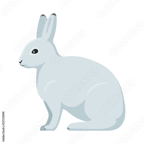 Vector arctic hare