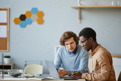Side view portrait of two software developers using laptop together while working on project in IT company office, copy space