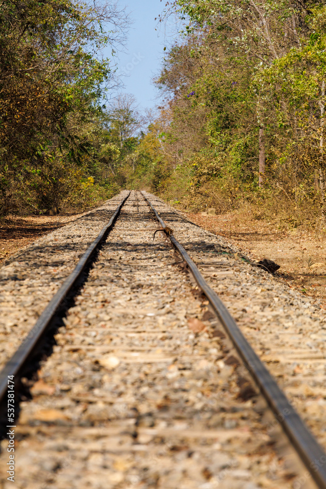 Fototapeta premium horseman on rail road in central brazil