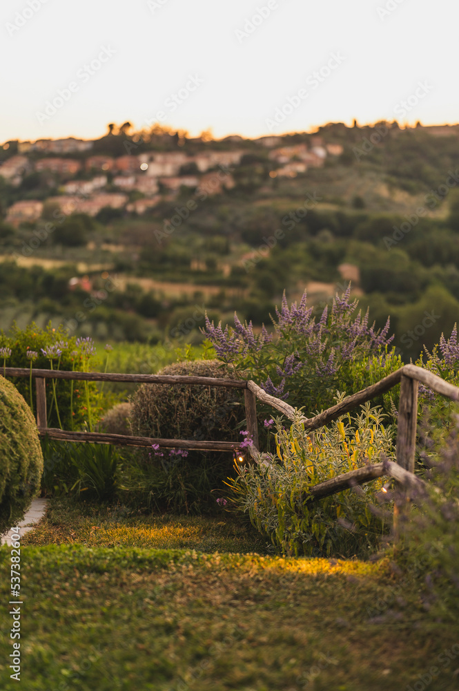 Obraz premium A garden in Tuscany, Italy during sunset with lavender flowers
