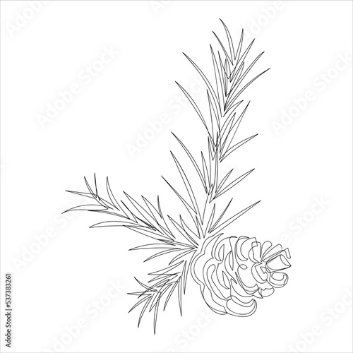 Christmas tree branches with a corn drawn in doodle style. Sketch. Continuous line drawing botanical art. Vector illustration in one line.