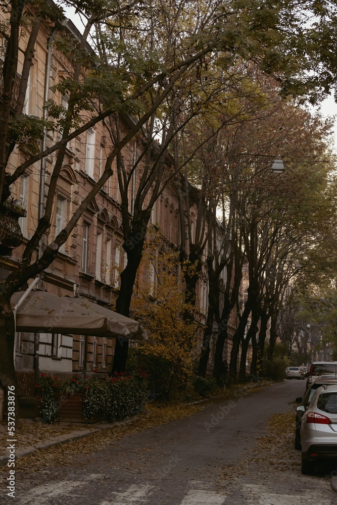Fototapeta premium Architecture, road, beautiful buildings, trees, autumn 