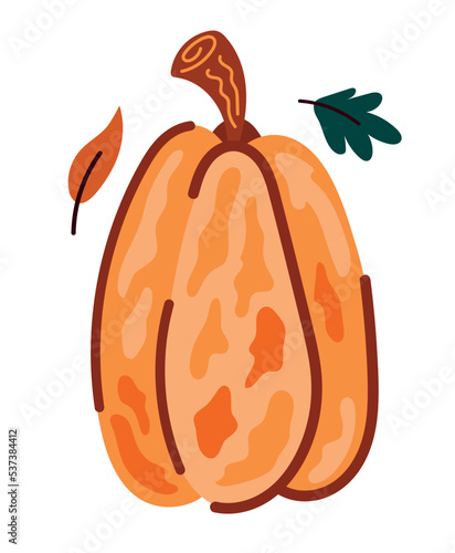 yellow pumpkin vegetable autumn