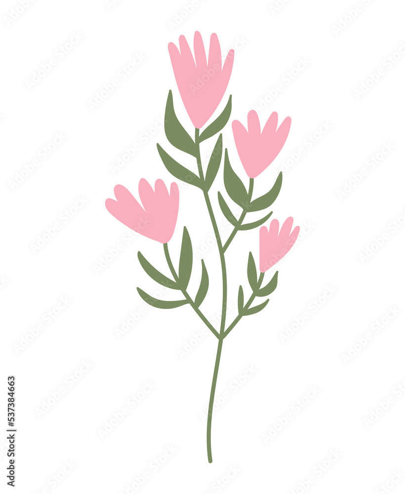 Fototapeta premium Hand drawn herbal, floral clipart. Color doodle vector.