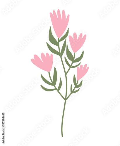 Hand drawn herbal  floral clipart. Color doodle vector.