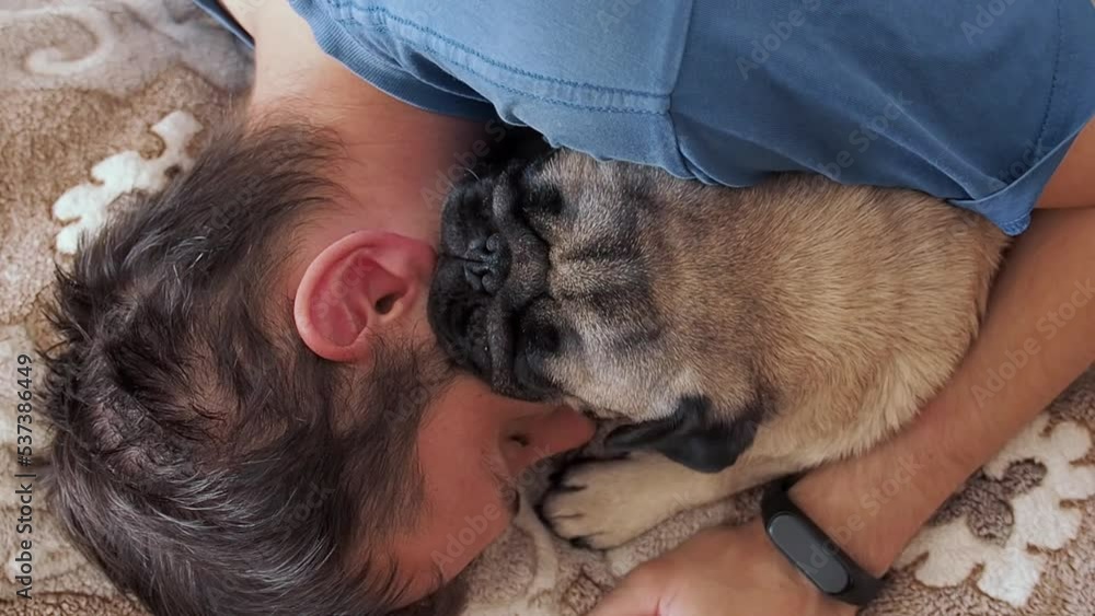 Young man hugging with adorable pug dog sleeping together on bed at home. Friendship and relaxation with pet concept. Young man hugging with adorable pug dog sleeping together on bed at home. Friendship and relaxation with pet concept.