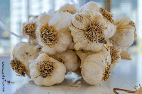  bunch of garlic