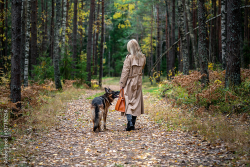 Back view of walking woman and dog in autumn wood