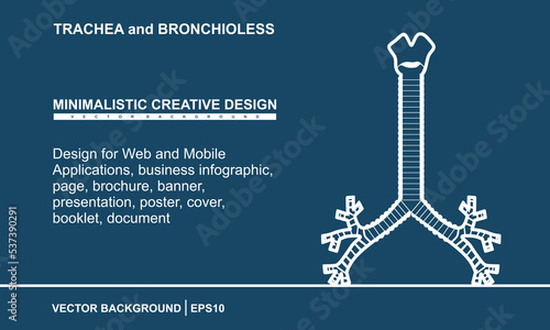Linear human trachea and bronchioles. Hand drawn Trachea Bronchi design for Web and Mobile Applications, business infographic, page, brochure, banner, presentation, poster, cover, booklet, document
