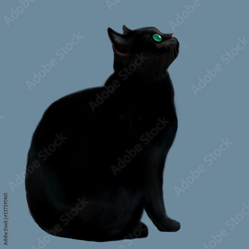 猫の横顔 黒猫の横顔 横向きの猫 座っている黒猫 座っているクロネコ ハロウィンの黒猫 ハロウィーンの黒い猫 黒猫が座っているイラスト クロネコが座っているイラスト 猫がお座りしているイラスト Stock Vector Adobe Stock
