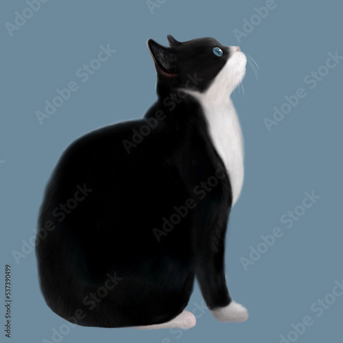 ハチワレ模様の猫、白黒の猫、座っているハチワレ、猫の横顔、猫の横顔、タキシードを着た猫、タビ猫が座っているイラスト、鉢割れが座っているイラスト、ハチワレが座っているイラスト、猫がお座りしているイラスト