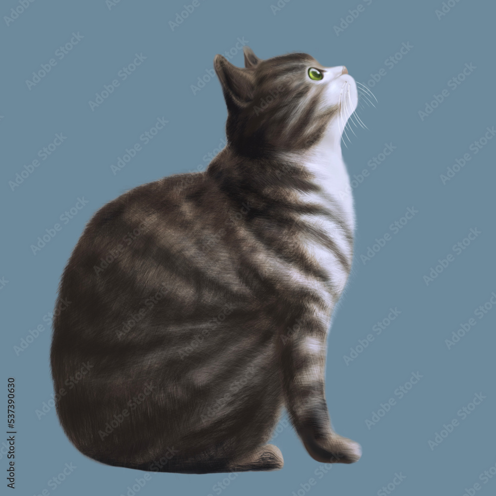 1000_F_537390630_s8LEtVvbKPTtm