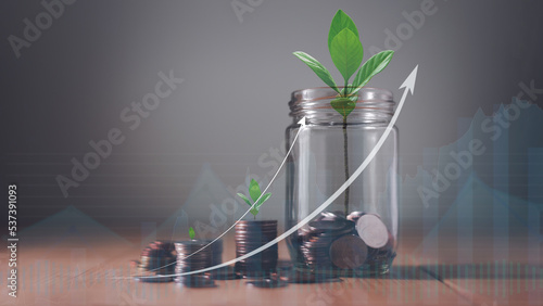 Plant growing from stack of coins money and in glass jar with finance analysis graph and growing up arrow, financial business investment concept, Plan for success in the future, Saving money.