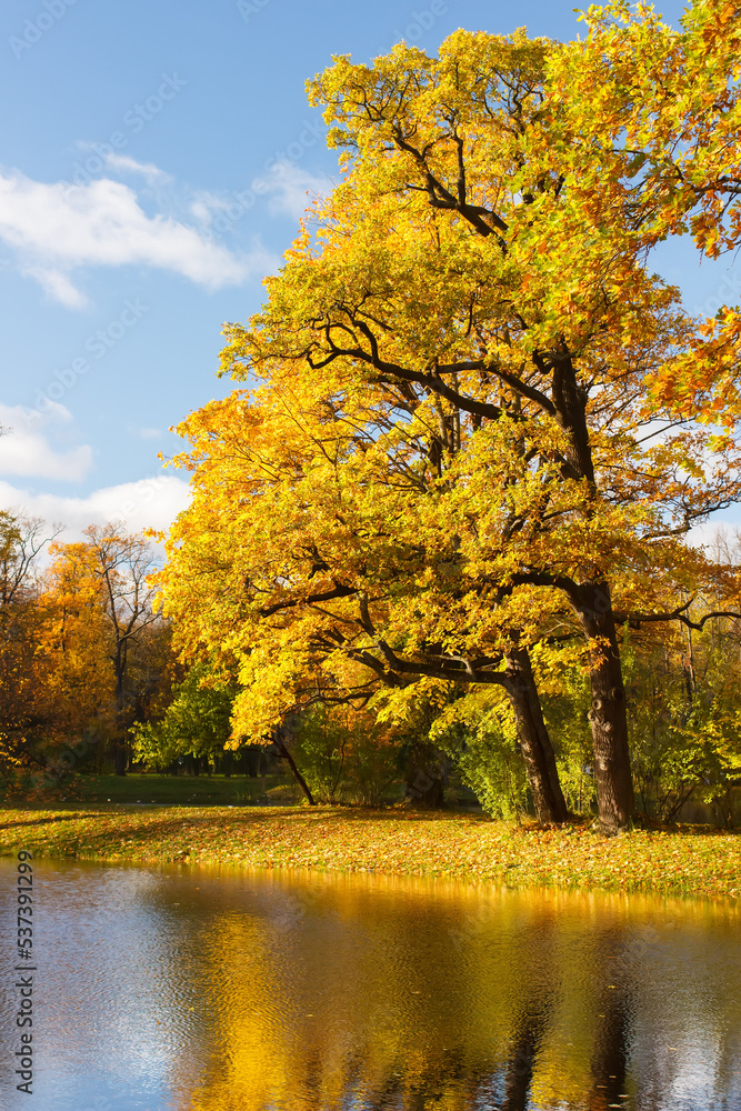Alexander Park in autumn in October. Background
