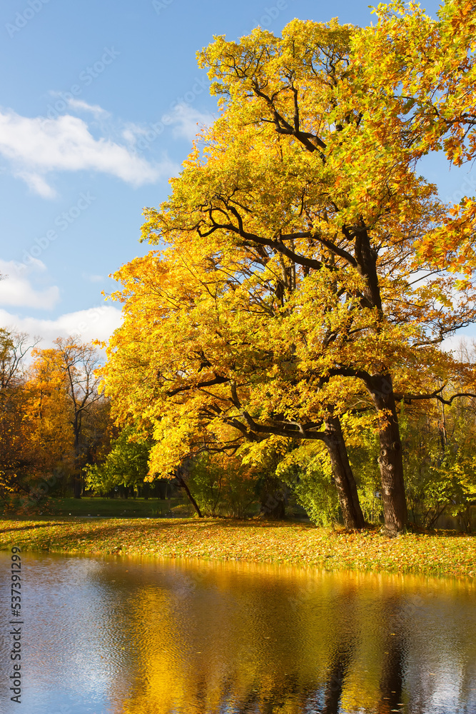 Alexander Park in autumn in October. Background Alexander Park in autumn in October. Background