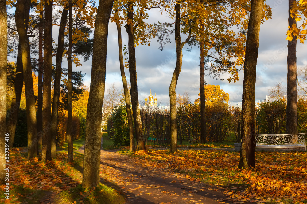 Fototapeta premium Alexander Park in autumn in October. Background