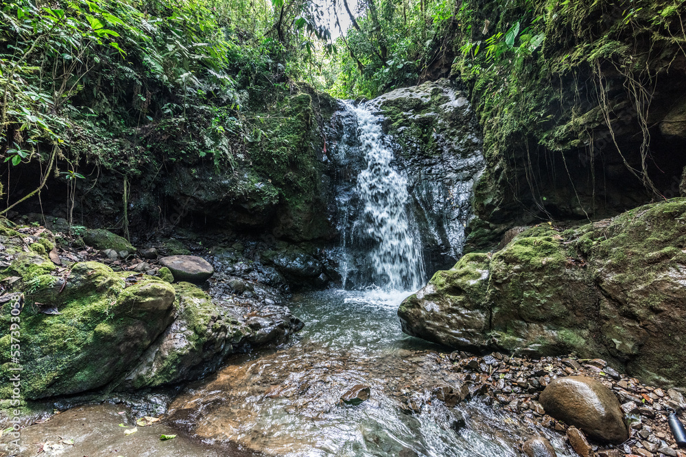 Waterfall on Cerro Bravo in the middle of the forest. Venice, Antioquia, Colombia. Waterfall on Cerro Bravo in the middle of the forest. Venice, Antioquia, Colombia.