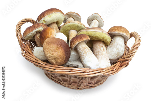 Ceps, freshly harvested, lie in a small wicker basket