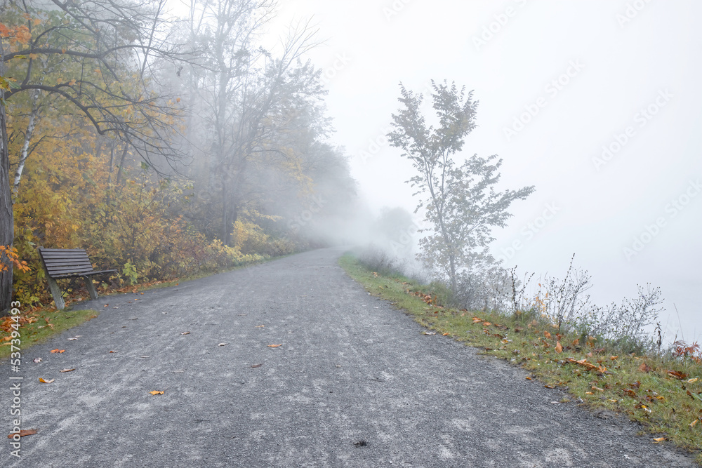 A pathway along a river and through woods in autumn on a foggy morning, empty park bench, nobody