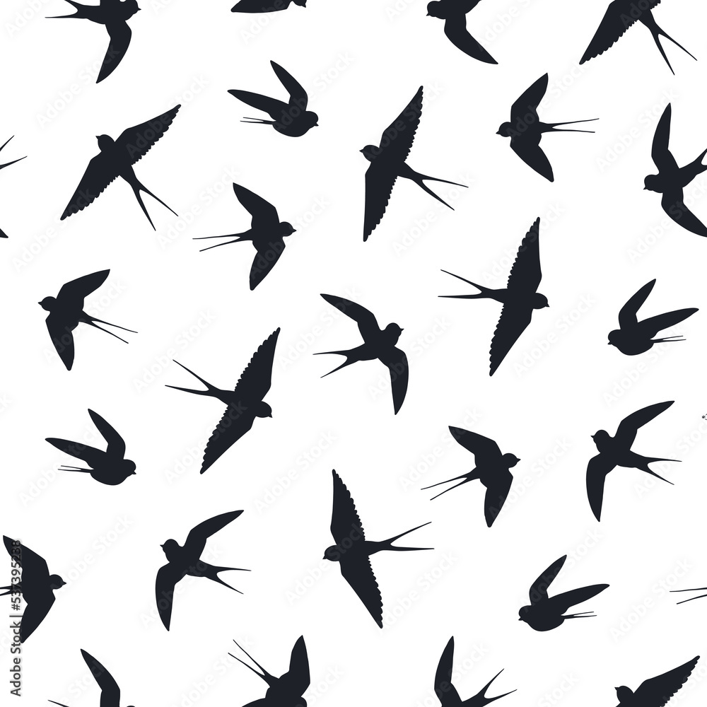 Fototapeta premium swallow bird vector seamless pattern.