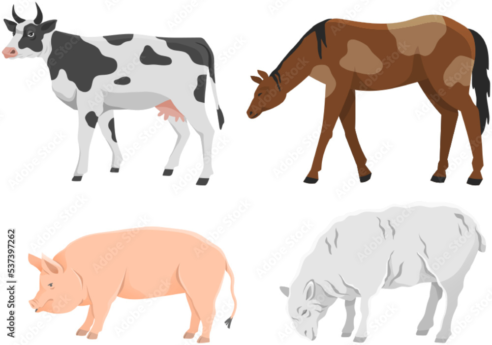 Set of domestic farm animals. Cow, horse, pig and ship, different mammals vector illustration. Farming, animal husbandry and breeding. Agricultural species of livestock isolated on white background