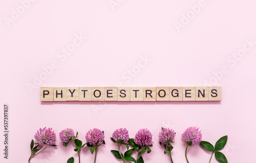 Word Phytoestrogens made up of wooden blocks with letters and Trifolium pratenser flowers. Red clover for treatment symptoms of menopause. Ingredient for food supplements. Copy space. photo