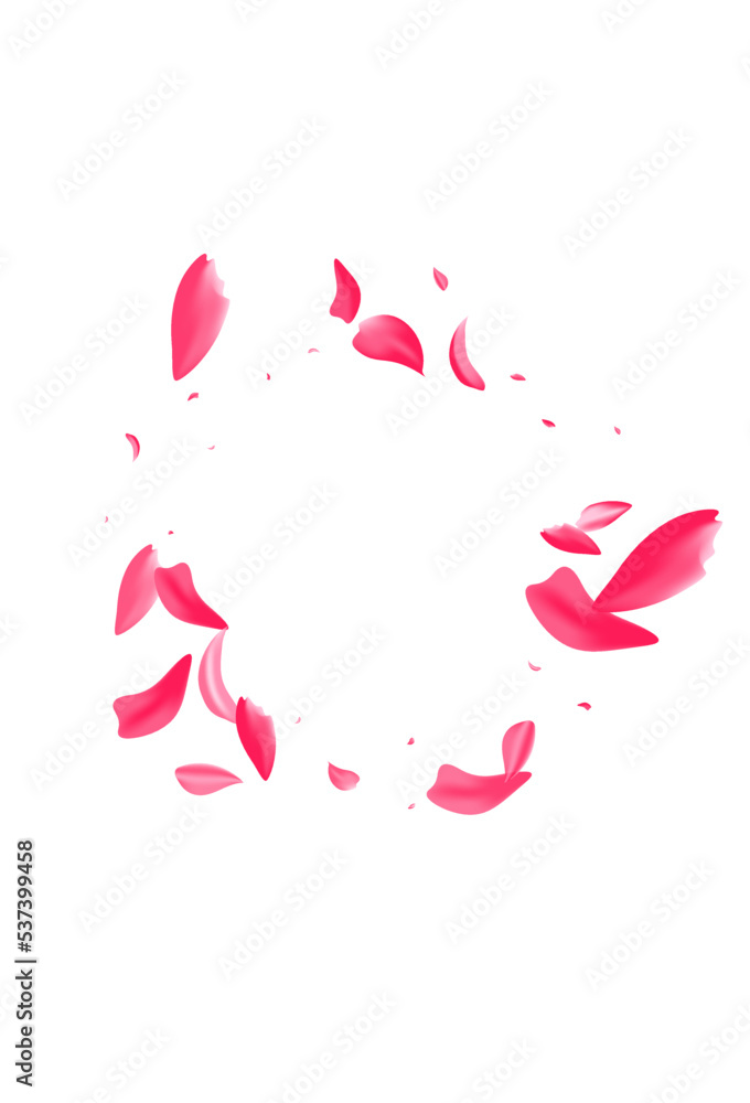 Delicate Petal Japanese Vector White Background. Delicate Petal Japanese Vector White Background.