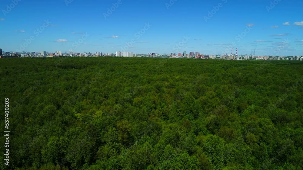 Aerial view. Flying over huge green forest against the background of a large modern city. Eco-friendly park, woodland produces oxygen for breathing in the city. Aerial view. Flying over huge green forest against the background of a large modern city. Eco-friendly park, woodland produces oxygen for breathing in the city.