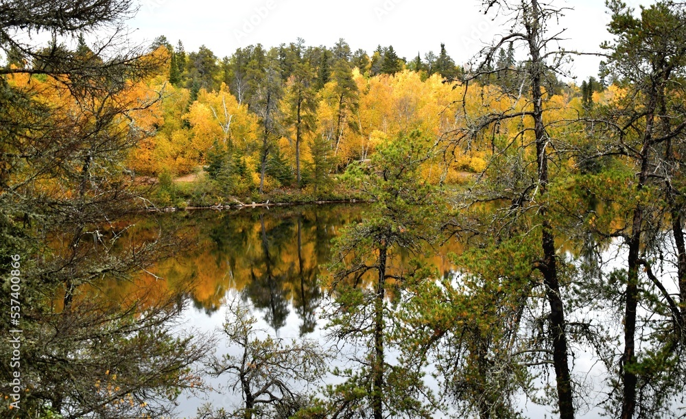 autumn trees reflected in water autumn trees reflected in water