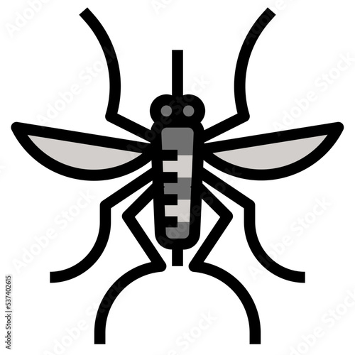 insect